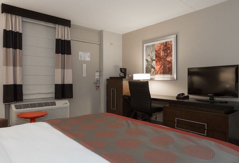Fotos del hotel Ramada By Wyndham Boston: 1 Fotos del hotel Ramada By Wyndham Boston: 1