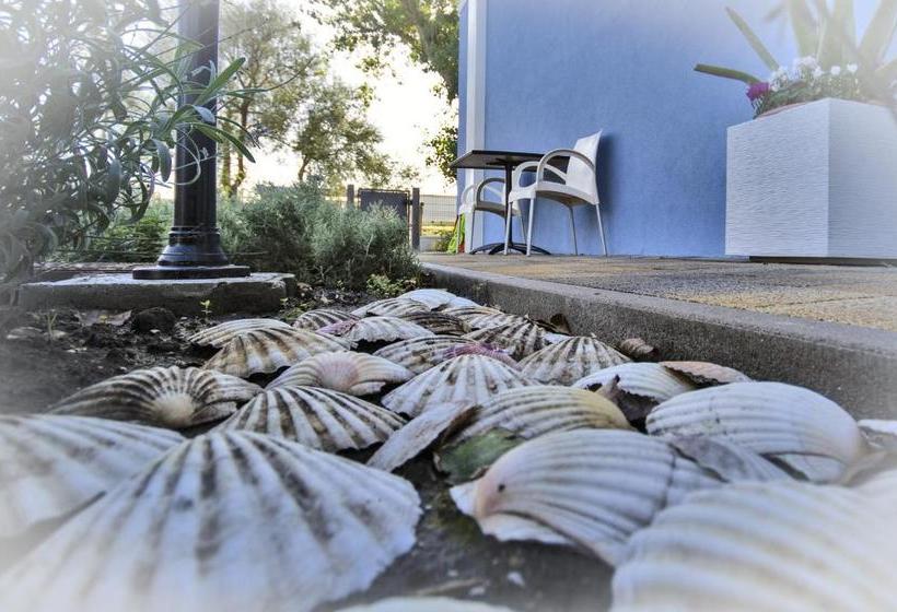 Bed and Breakfast Il Sole Nel Mare   Lido Di Volano