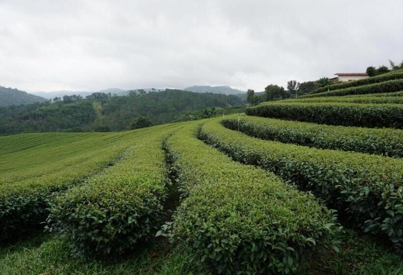 هتل 101 Tea Green View