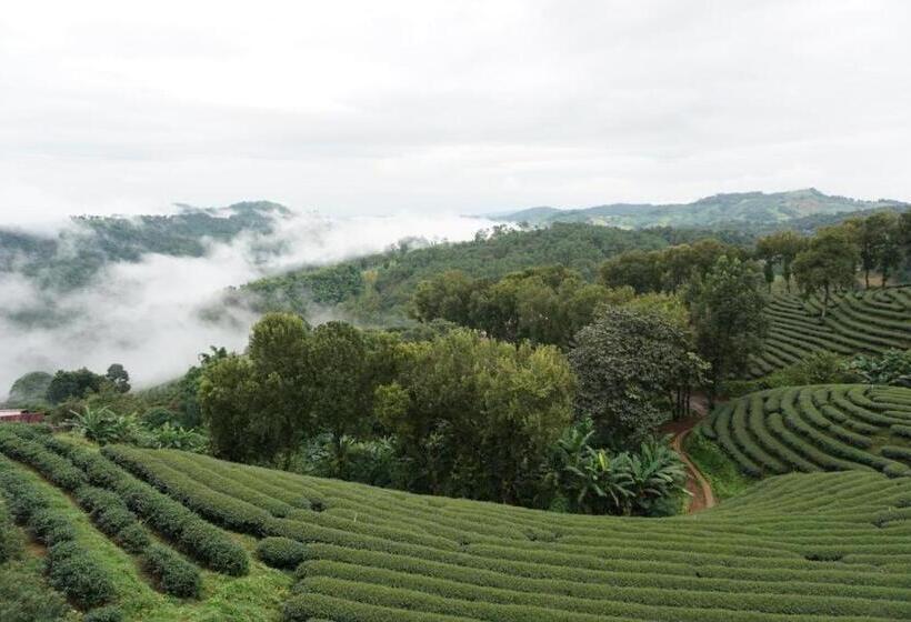 هتل 101 Tea Green View