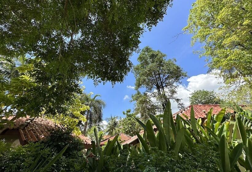 Fotos del hotel Hyton Leelavadee Phuket:  28