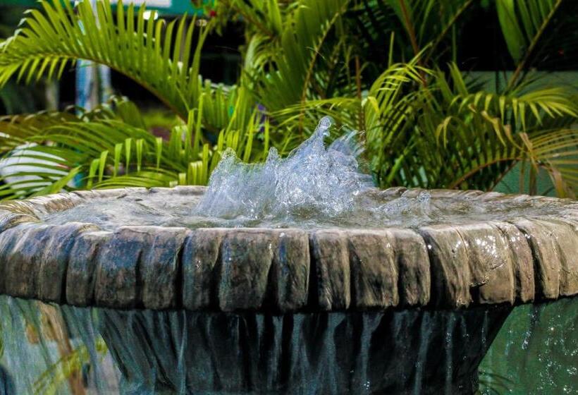 Fotos del hotel Marbella:  35