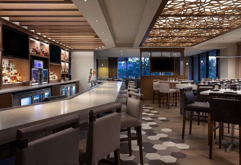 هتل Hilton Beachfront Resort & Spa Hilton Head Island