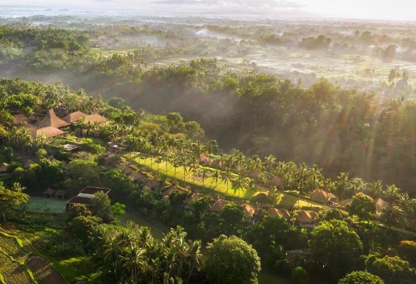 Fotos del hotel Maya Ubud Resort And Spa:  2