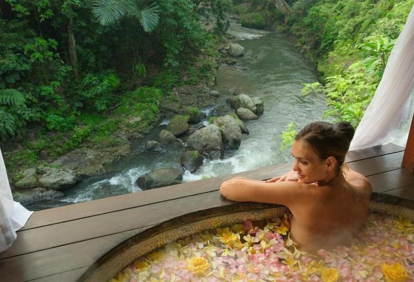 Fotos del hotel Maya Ubud Resort And Spa:  20