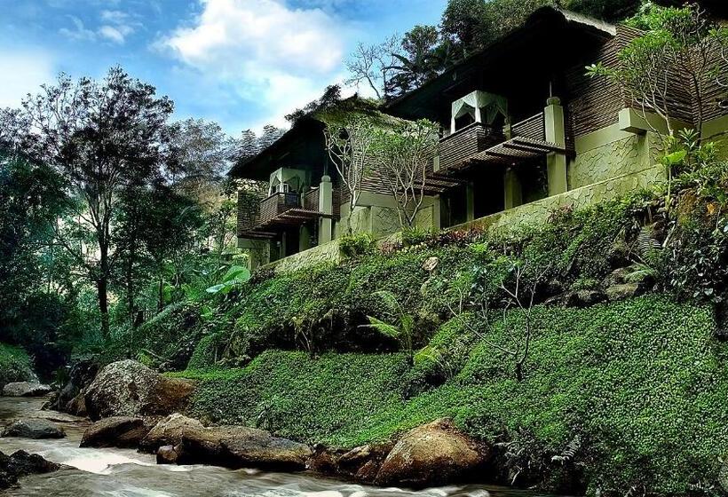 Fotos del hotel Maya Ubud Resort And Spa:  17