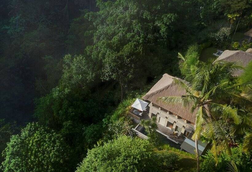 Fotos del hotel Maya Ubud Resort And Spa:  52