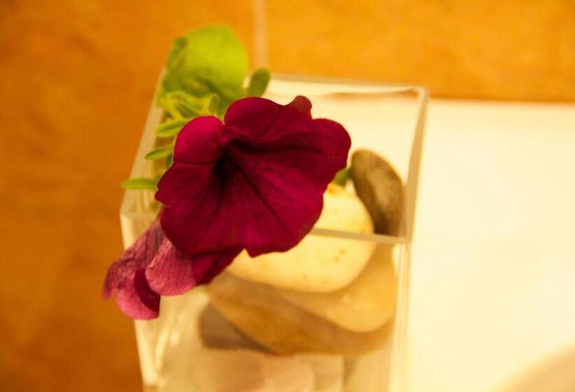 Fotos del hotel Novecento:  48