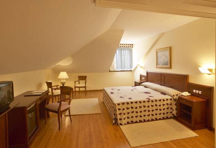 Fotos del hotel Villa De Gijon:  3