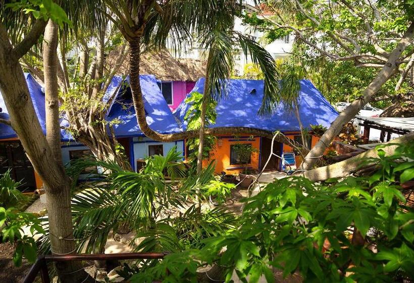 هاستل Amar Inn