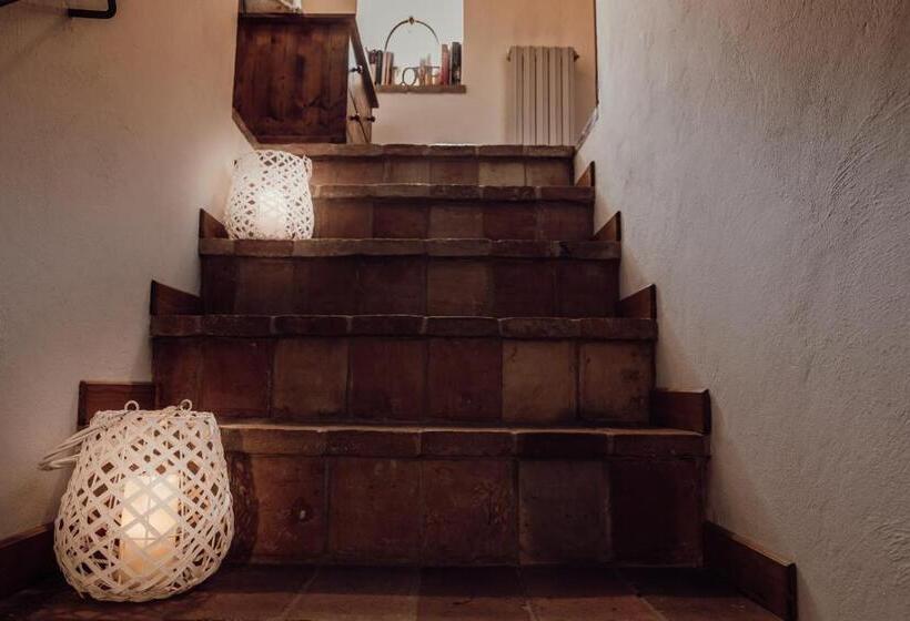 B&b Casatorre