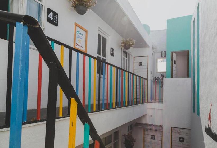 پانسیون Monkey Safari Hostel