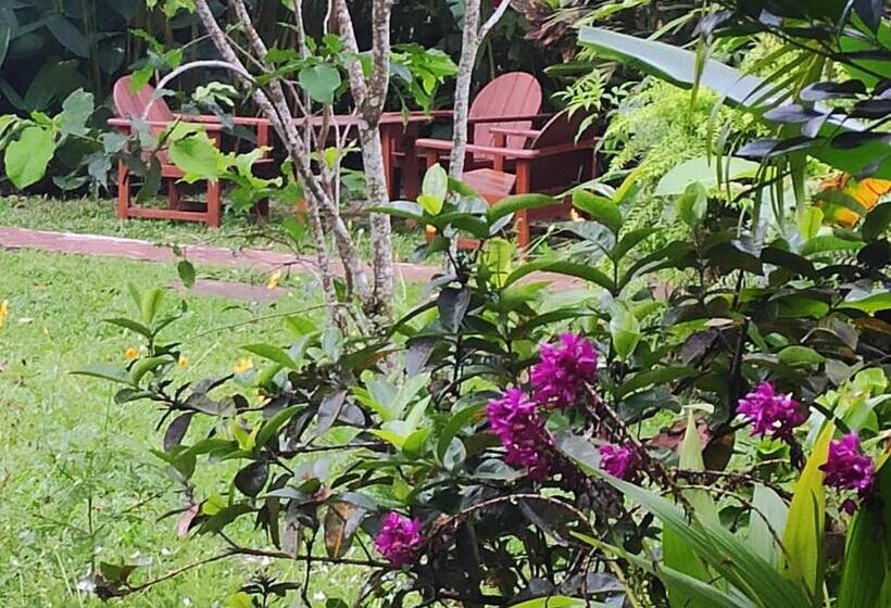 پانسیون Pousada Peki