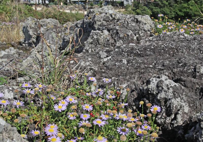 هتل Orojeju