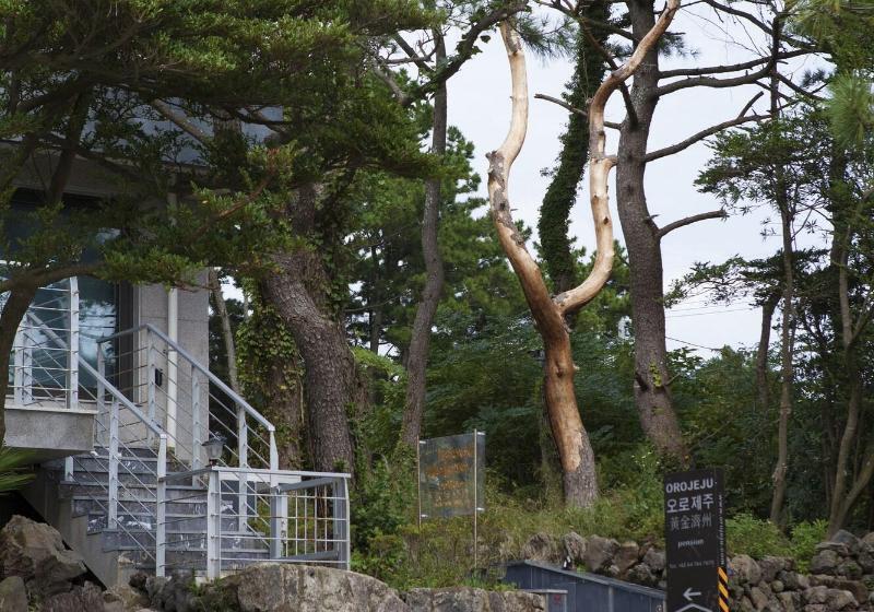 هتل Orojeju