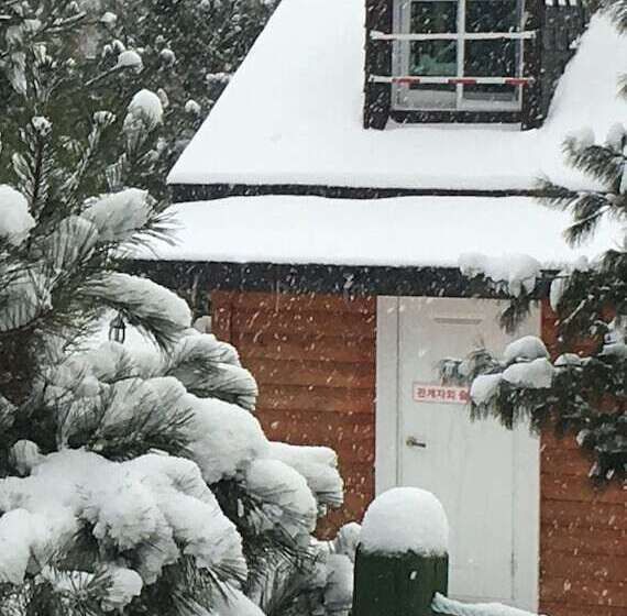 בית מלון כפרי Tirol Pension