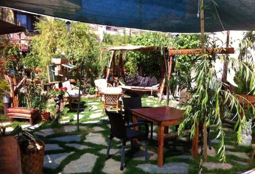 Ala Otel Konukevi Agva