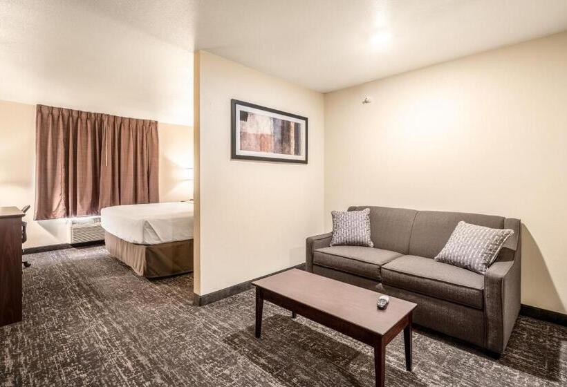 Cobblestone Hotel & Suites   Newport