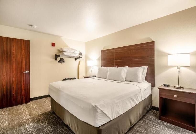Cobblestone Hotel & Suites   Newport