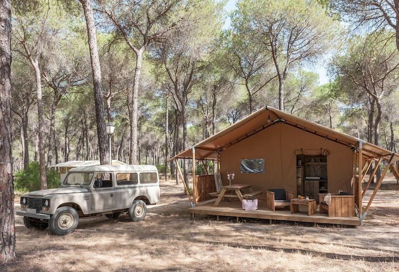 בית מלון כפרי Glamping Sevilla