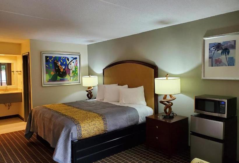 Мотель Palmetto Inn And Suites