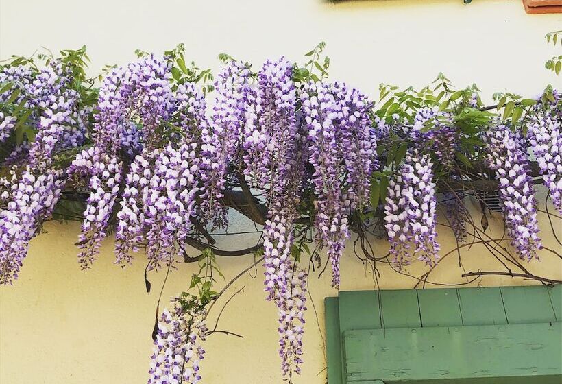 膳宿费 Au Bien Venu