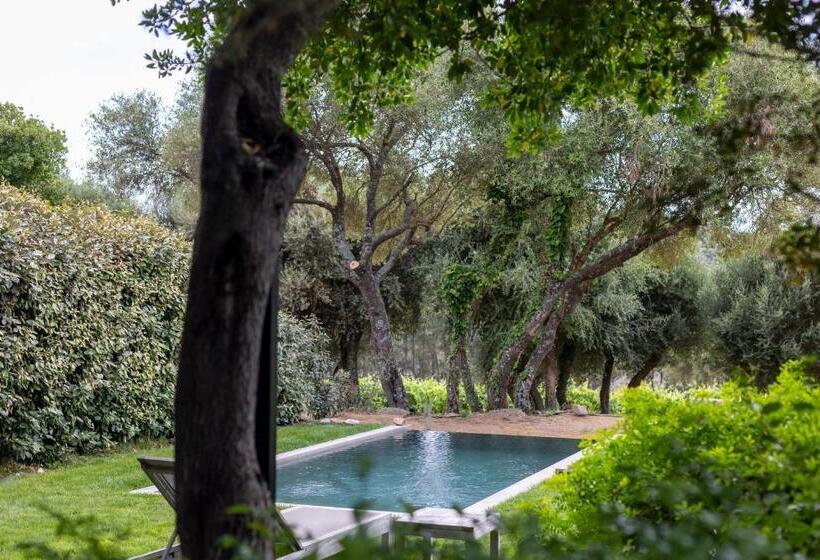 پانسیون Domaine De Peretti Della Rocca