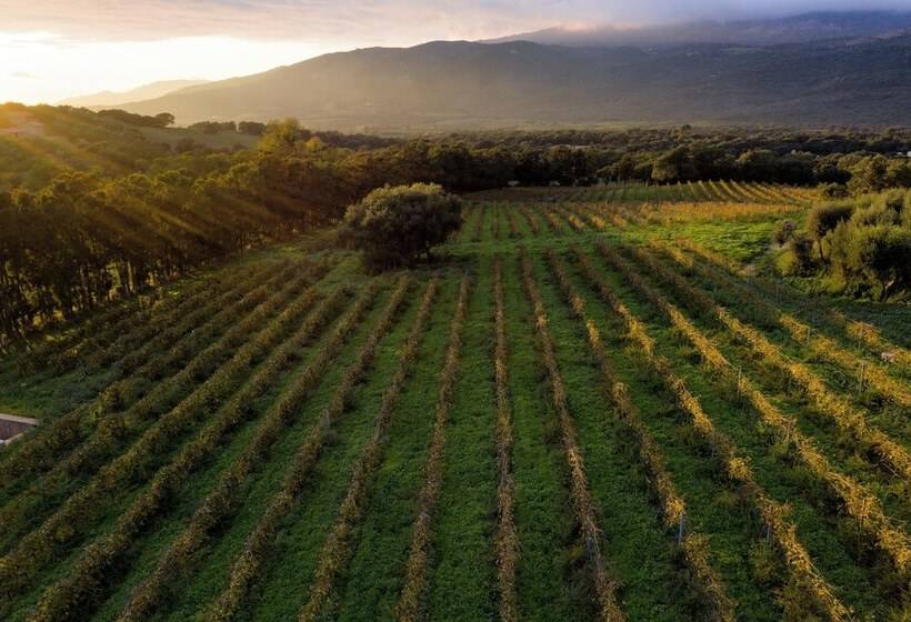 پانسیون Domaine De Peretti Della Rocca