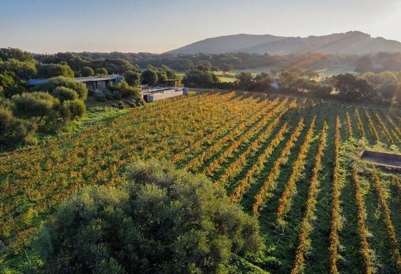 پانسیون Domaine De Peretti Della Rocca