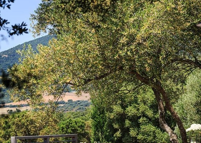 پانسیون Domaine De Peretti Della Rocca