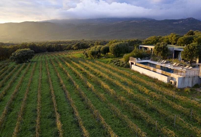 پانسیون Domaine De Peretti Della Rocca