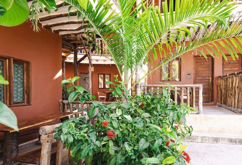 פנסיון Shanuo Beach Bungalows