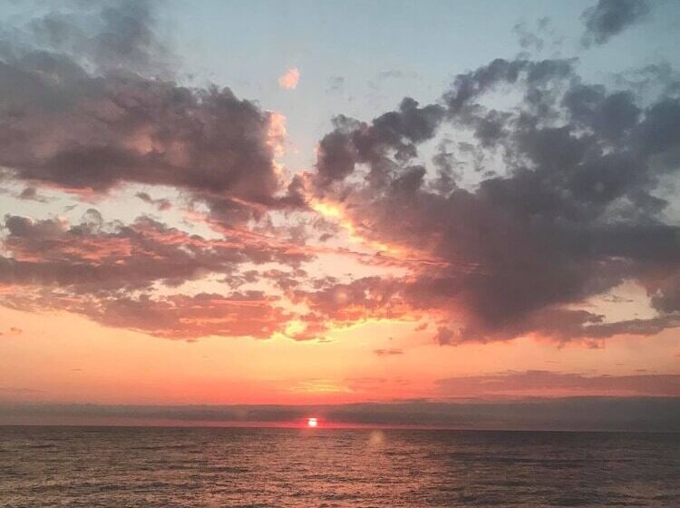 پانسیون Twins