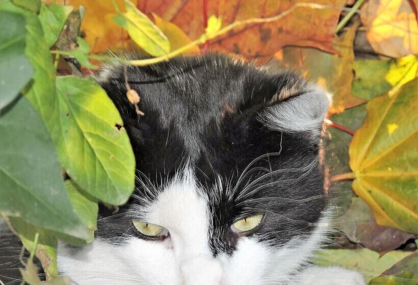 צימר Gästehaus Klopfer