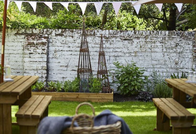 Fotos del hotel Lime Tree:  32