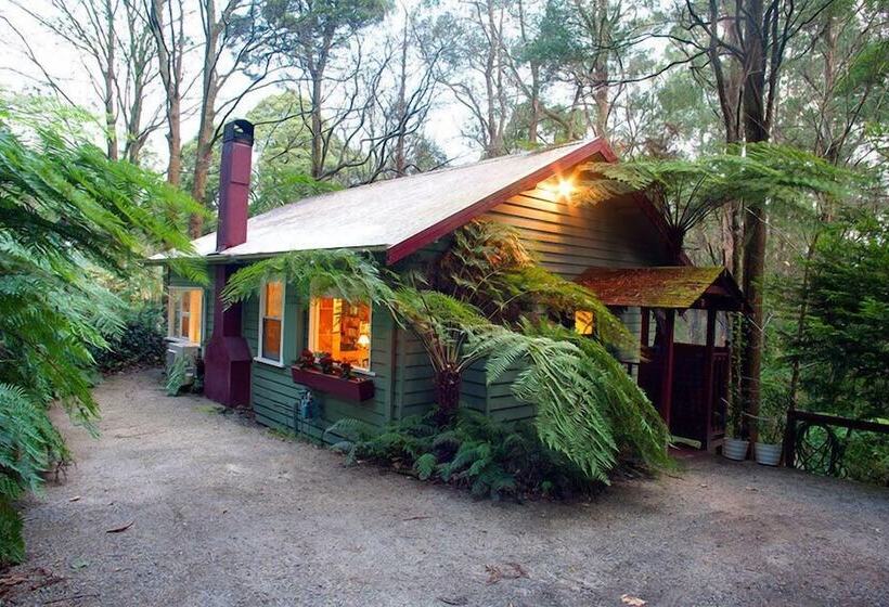 Cottage In The Forest