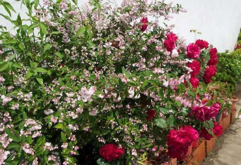 پانسیون Marika Vlachou