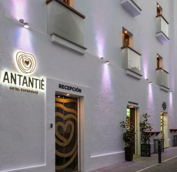 هتل Antantie