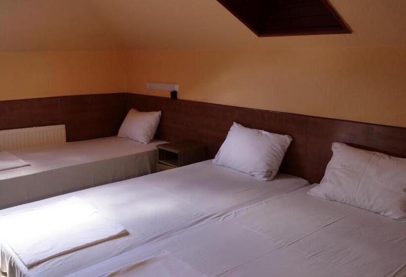 Fotos del hotel Attila:  5