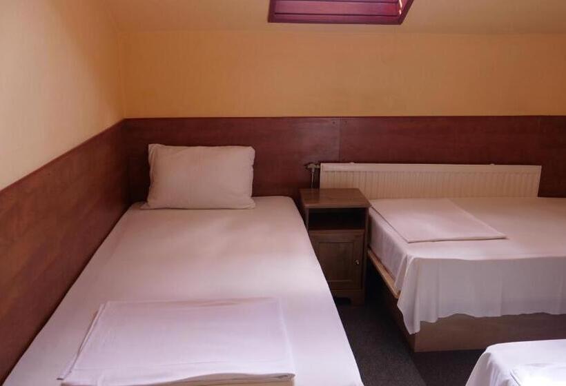 Fotos del hotel Attila:  16