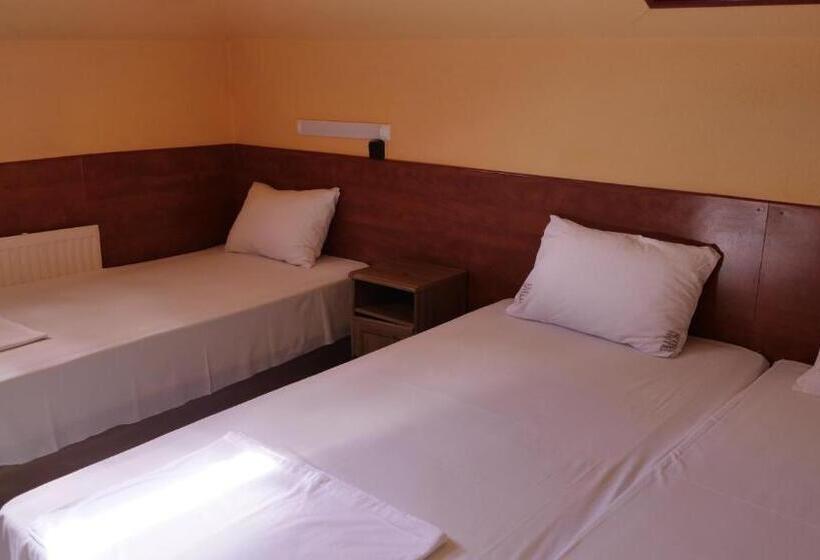 Fotos del hotel Attila:  15