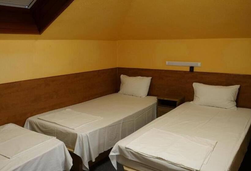 Fotos del hotel Attila:  14