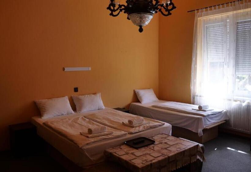Fotos del hotel Attila:  4