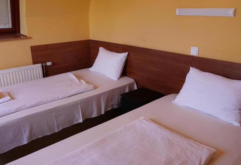 Fotos del hotel Attila:  7