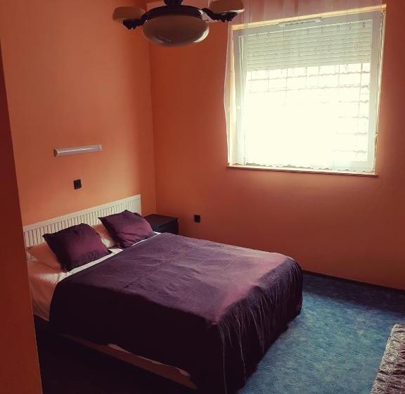 Fotos del hotel Attila:  6