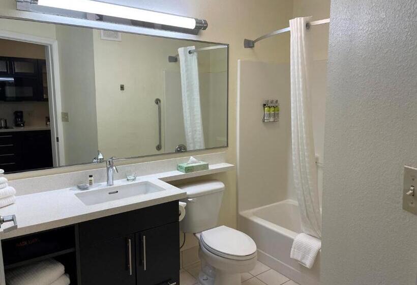 هتل Candlewood Suites East Lansing, An Ihg