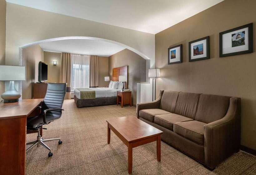 فندق Comfort Inn & Suites Sacramento – University Area