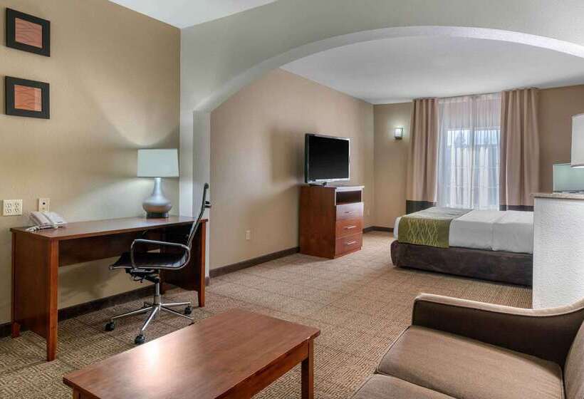 Hotel Comfort Inn & Suites Sacramento – University Area