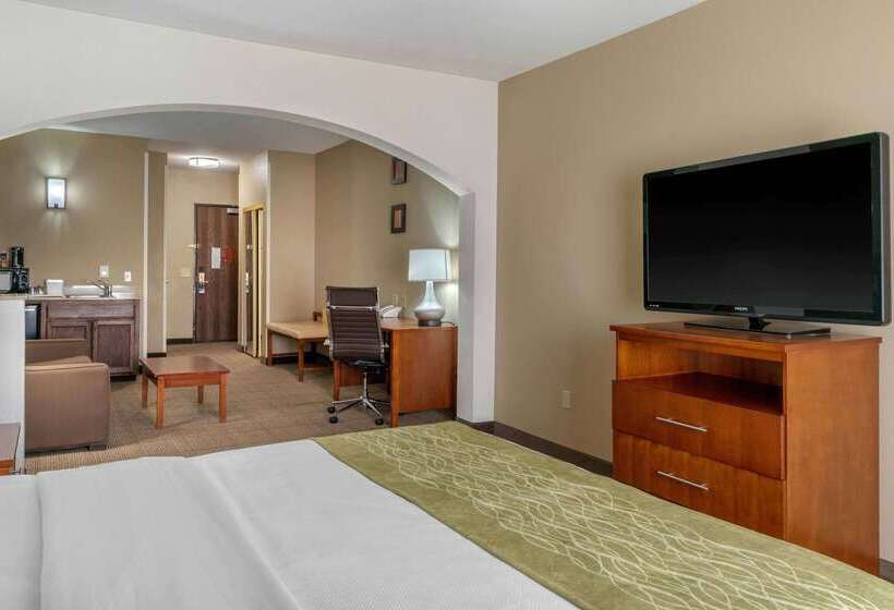 Hotel Comfort Inn & Suites Sacramento – University Area