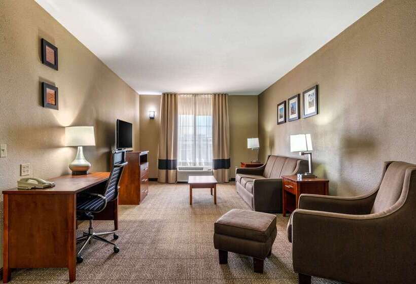 هتل Comfort Inn & Suites Sacramento   University Area